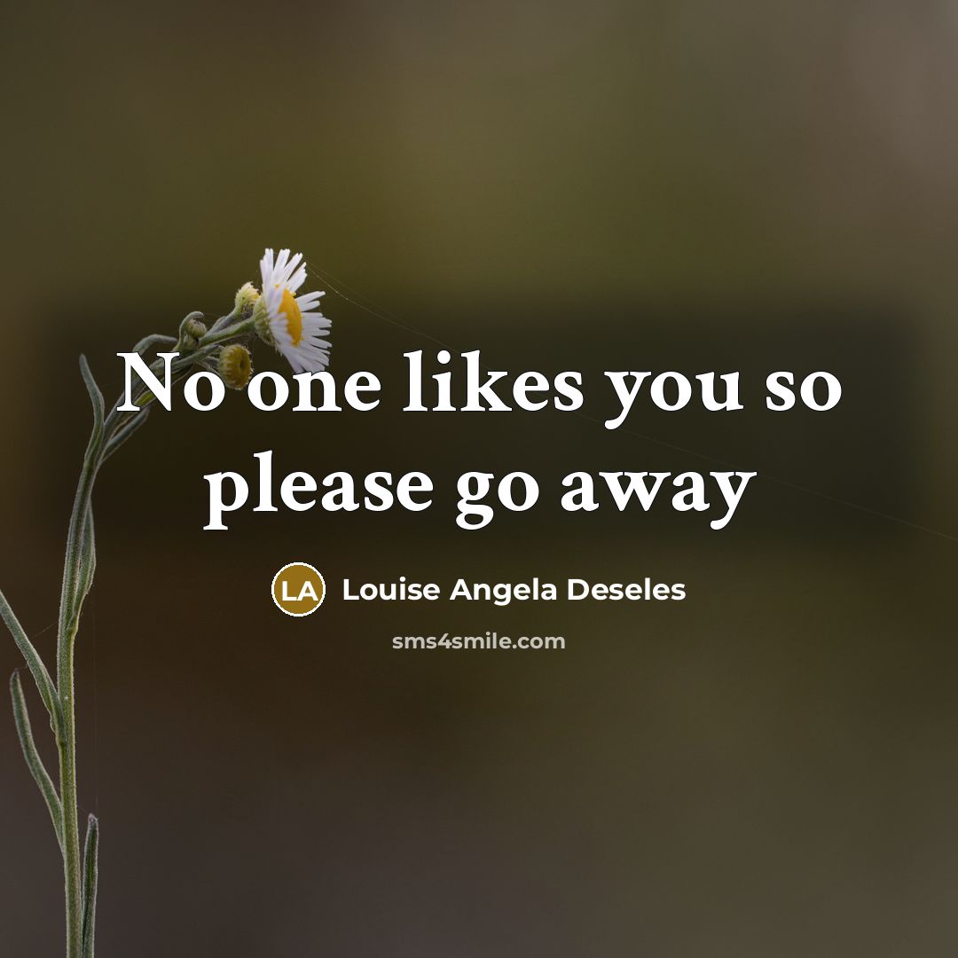 “No one likes you so please go away…” quote by Louise Angela Deseles