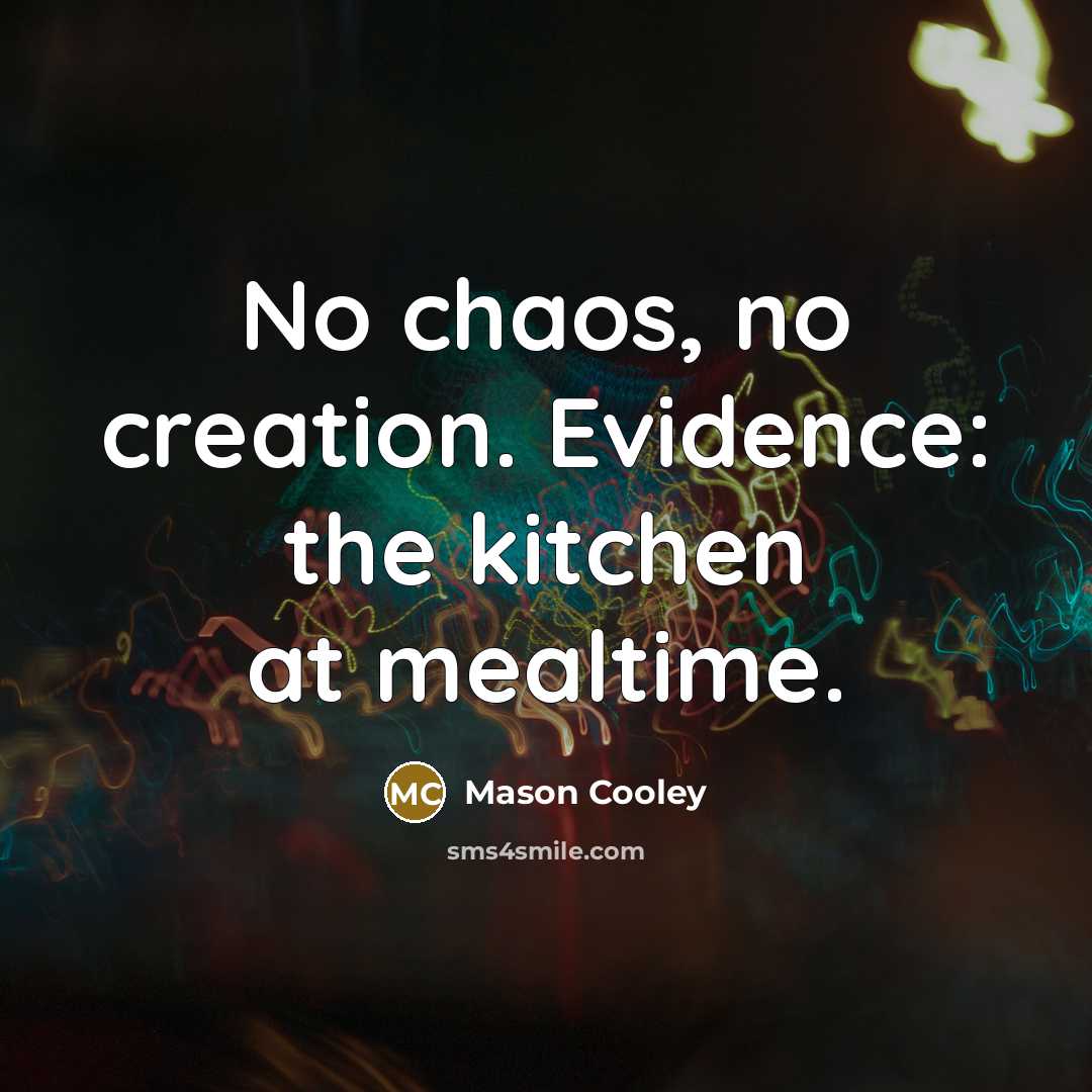 “No chaos, no creation. Evidence: the kitchen at mealtime.…” quote by Mason Cooley