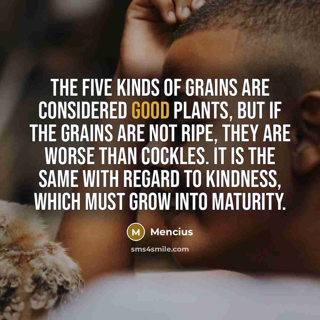“The five kinds of grains are considered good plants, but…” quote by Mencius