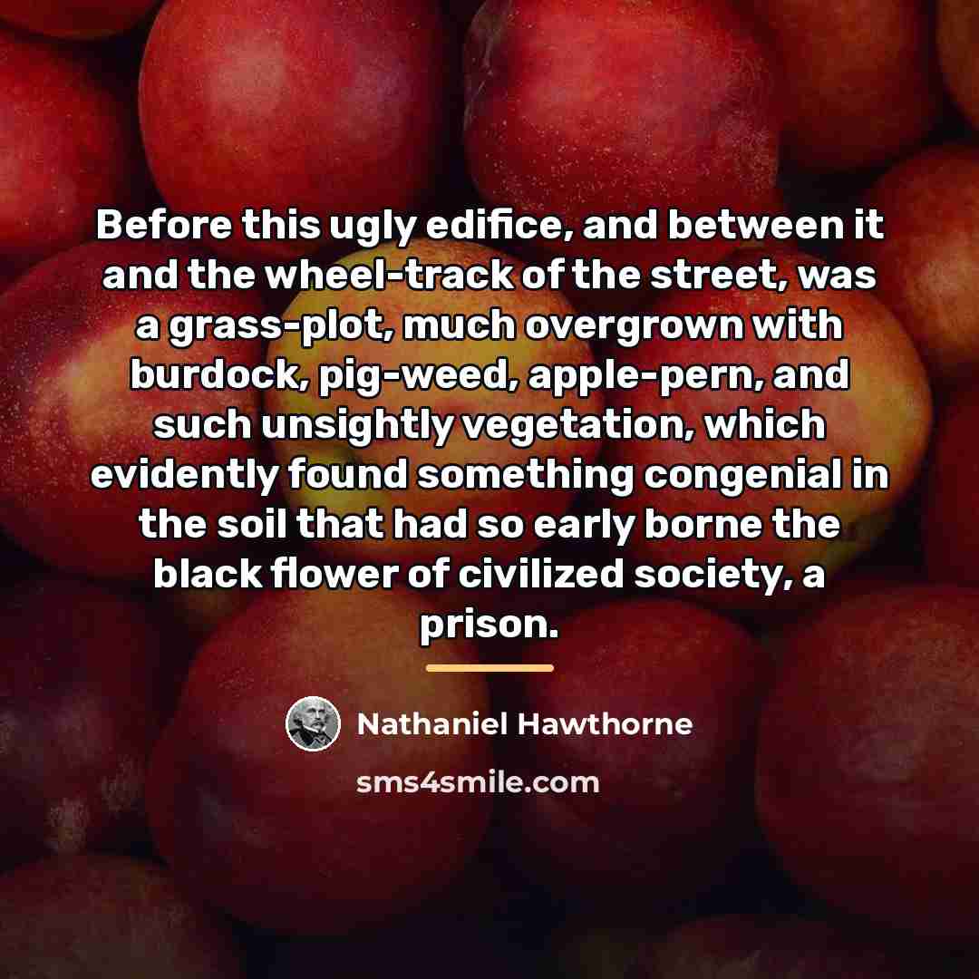 “Before this ugly edifice, and between it and the wheel-track…” quote by Nathaniel Hawthorne