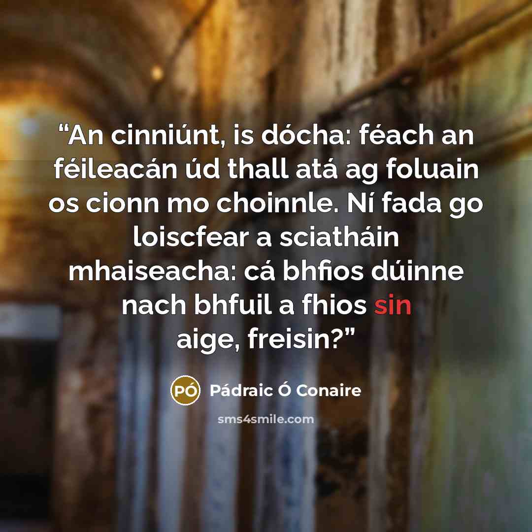 “An cinniúnt, is dócha: féach an féileacán úd thall atá ag foluain os cionn mo choinnle. Ní fada go loiscfear a sciatháin mhaiseacha: cá bhfios dúinne nach bhfuil a fhios sin aige, freisin?” quote by Pádraic Ó Conaire