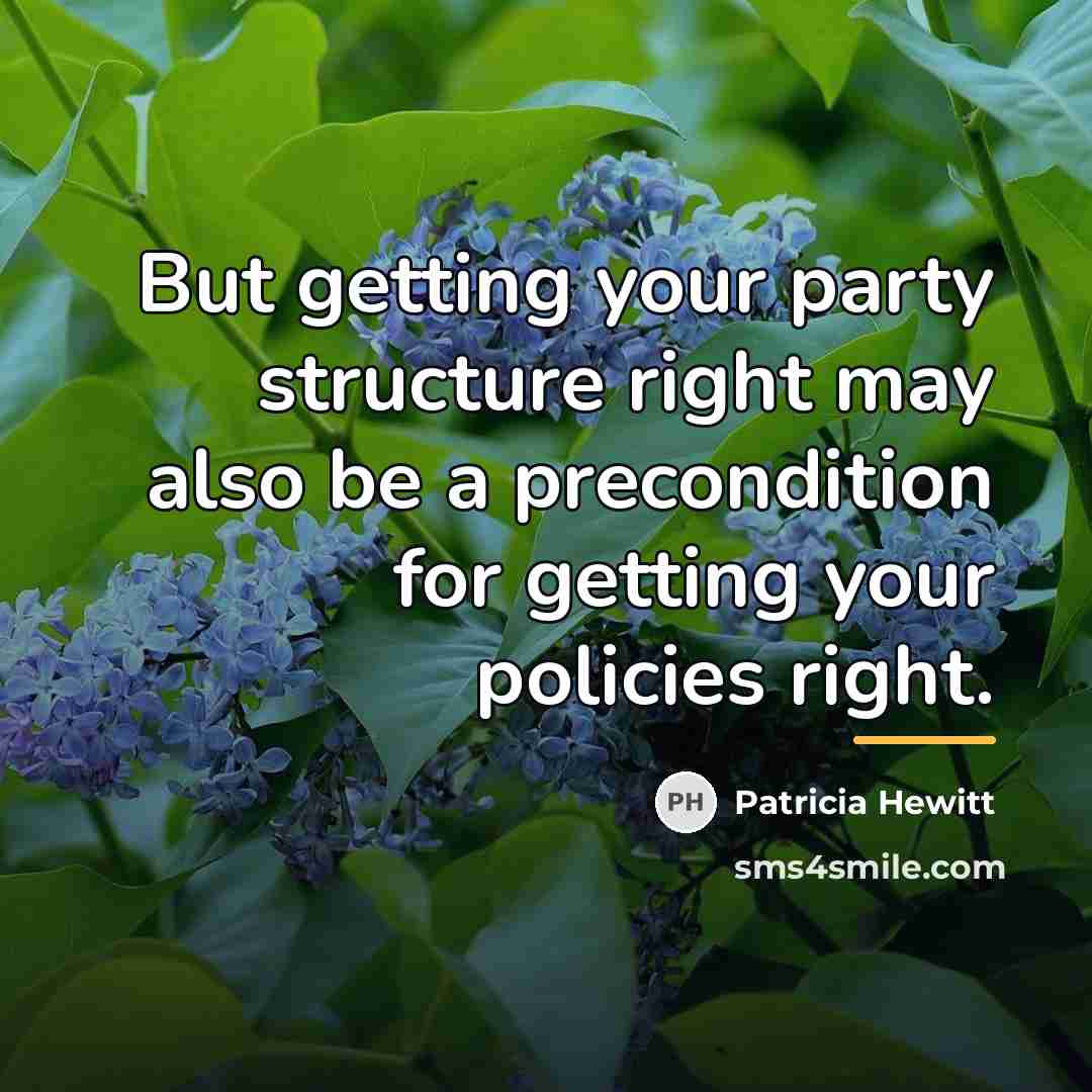 “But getting your party structure right may also be a…” quote by Patricia Hewitt
