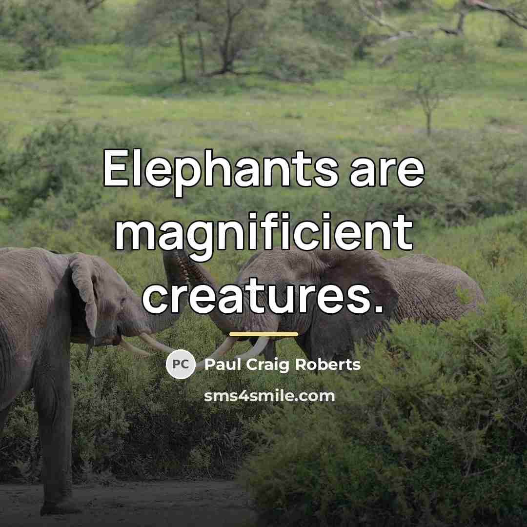 “Elephants are magnificient creatures.…” quote by Paul Craig Roberts