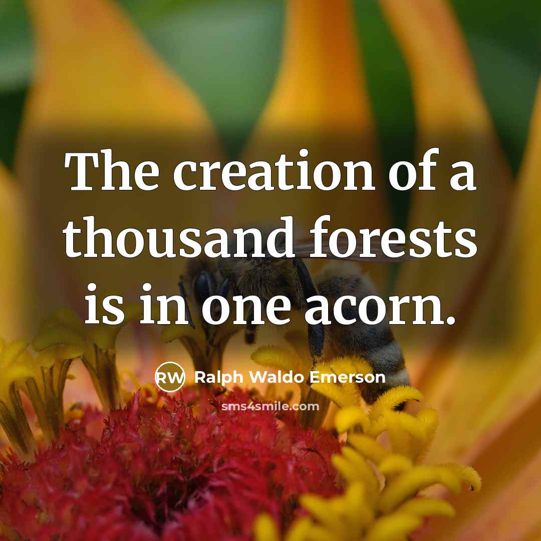 “The creation of a thousand forests is in one acorn.…” quote by Ralph Waldo Emerson