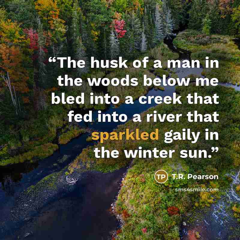 “The husk of a man in the woods below me bled into a creek that fed into a river that sparkled gaily in the winter sun.” quote by T.R. Pearson