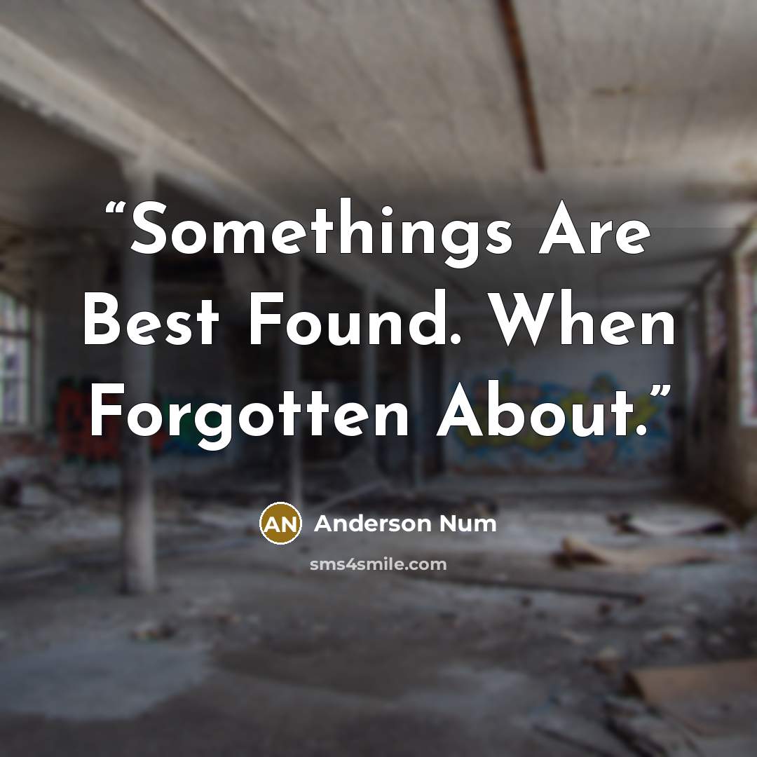 “Somethings Are Best Found. When Forgotten About.” quote by Anderson Num