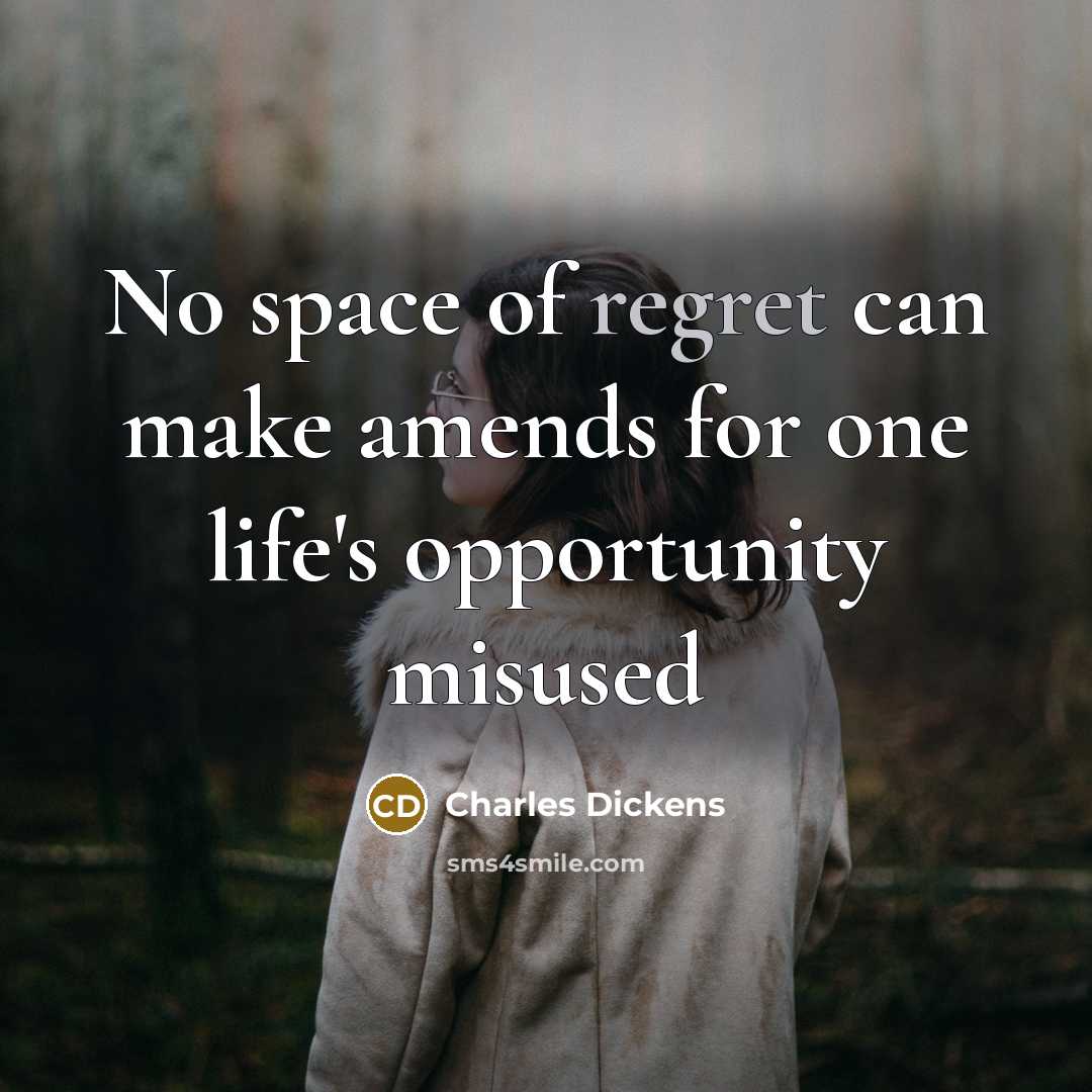 “No space of regret can make amends for one life's…” quote by Charles Dickens