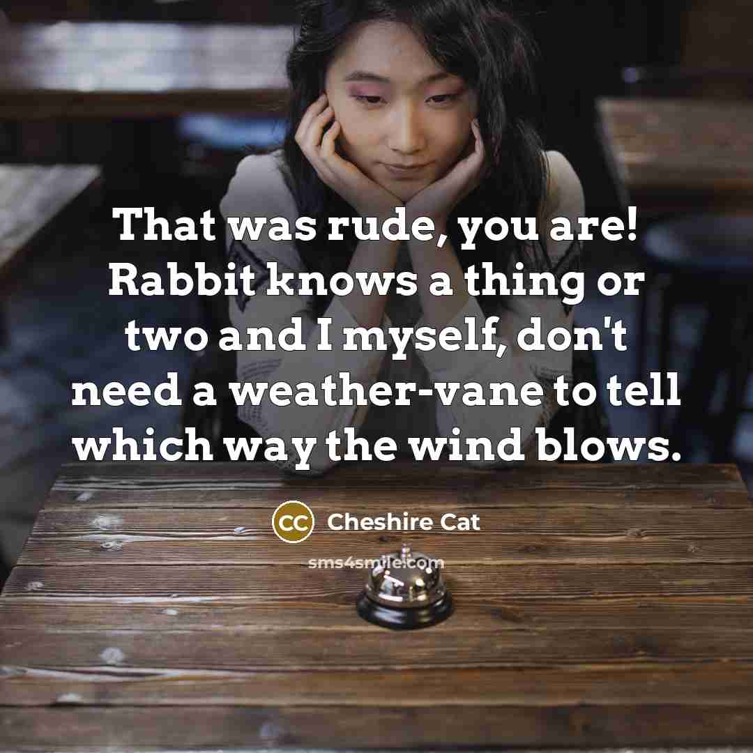 “That was rude, you are! Rabbit knows a thing or…” quote by Cheshire Cat