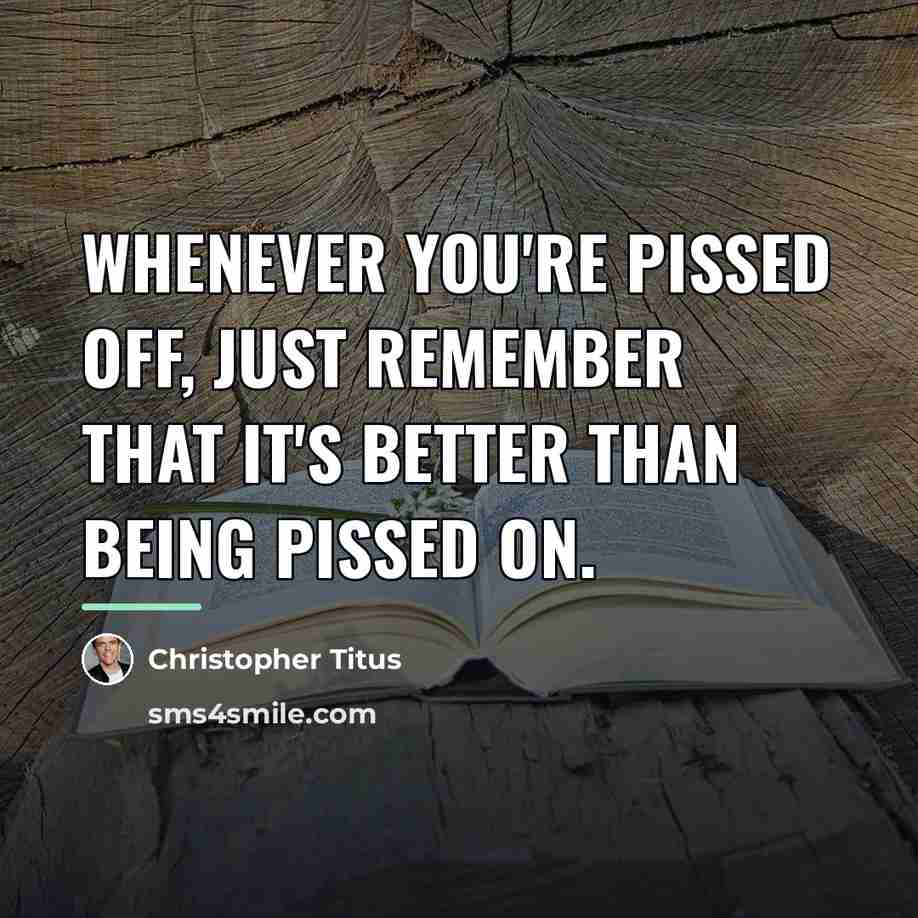 “Whenever you're pissed off, just remember that it's better than…” quote by Christopher Titus