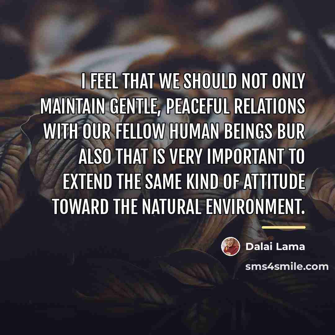 “I feel that we should not only maintain gentle, peaceful…” quote by Dalai Lama