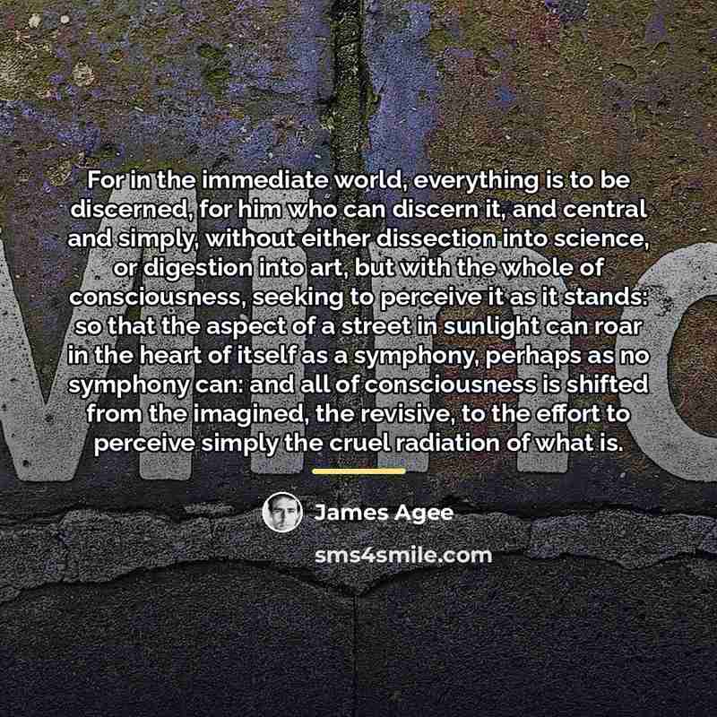 “For in the immediate world, everything is to be discerned,…” quote by James Agee