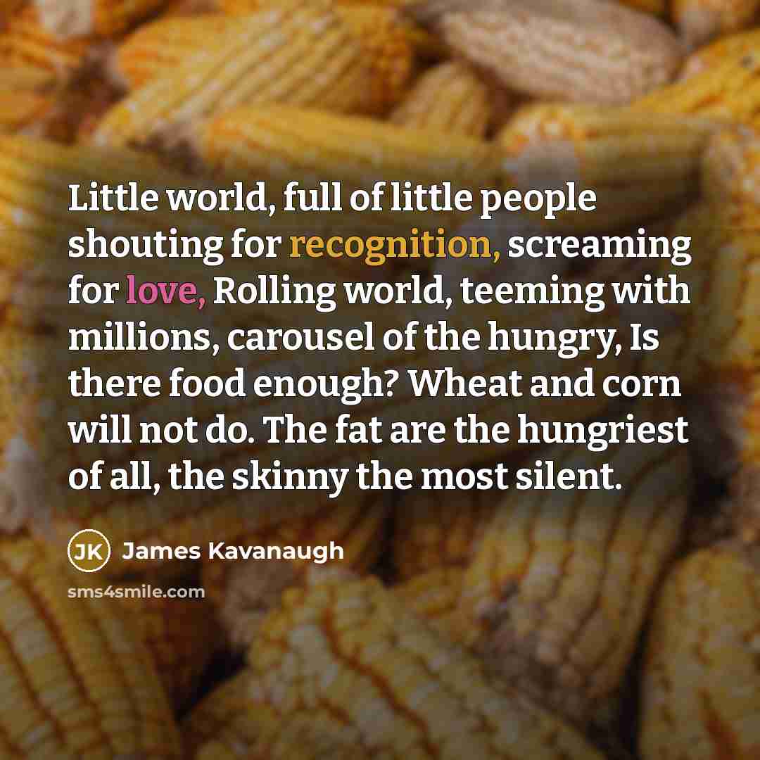 “Little world, full of little people shouting for recognition, screaming…” quote by James Kavanaugh