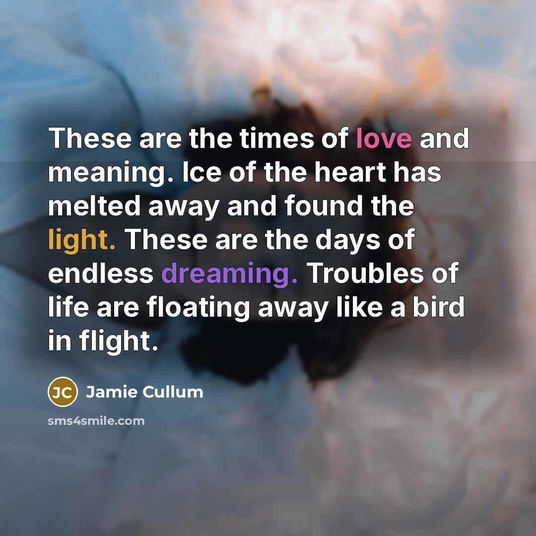 “These are the times of love and meaning. Ice of the heart has melted away and found the light. These are the days of endless dreaming. Troubles of life are floating away like a bird in flight.” quote by Jamie Cullum