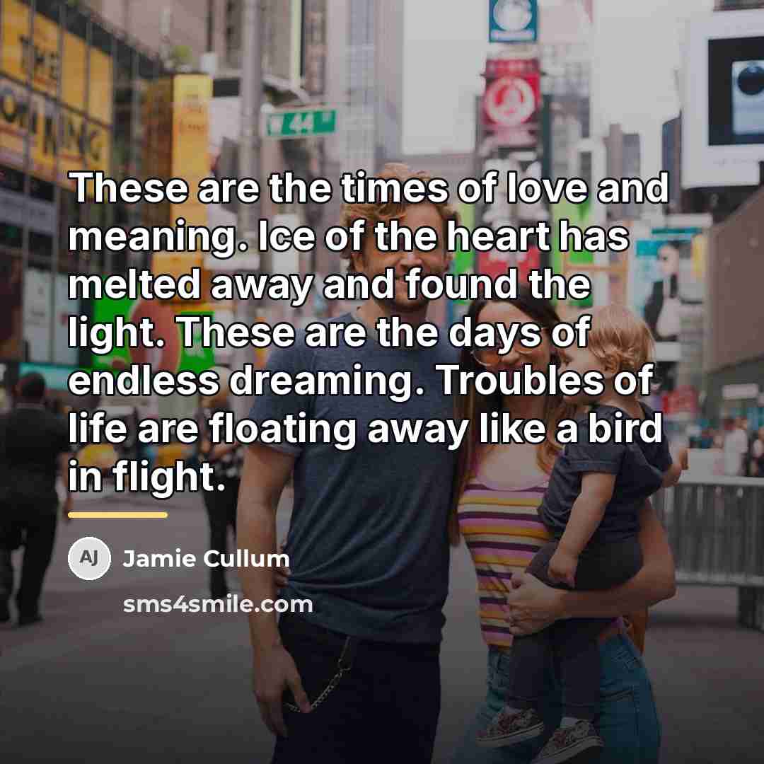 “These are the times of love and meaning. Ice of…” quote by Jamie Cullum