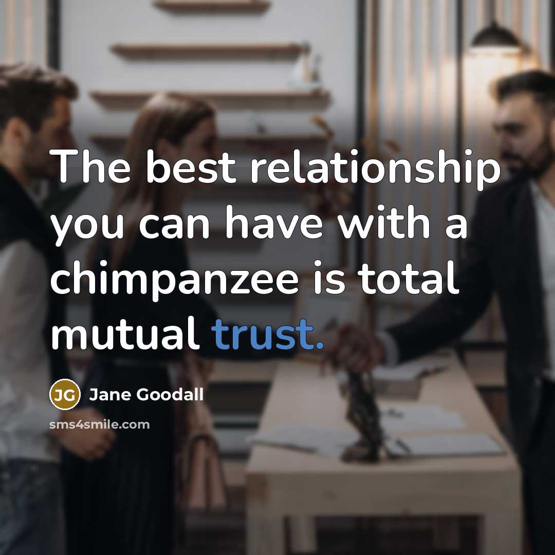 “The best relationship you can have with a chimpanzee is…” quote by Jane Goodall