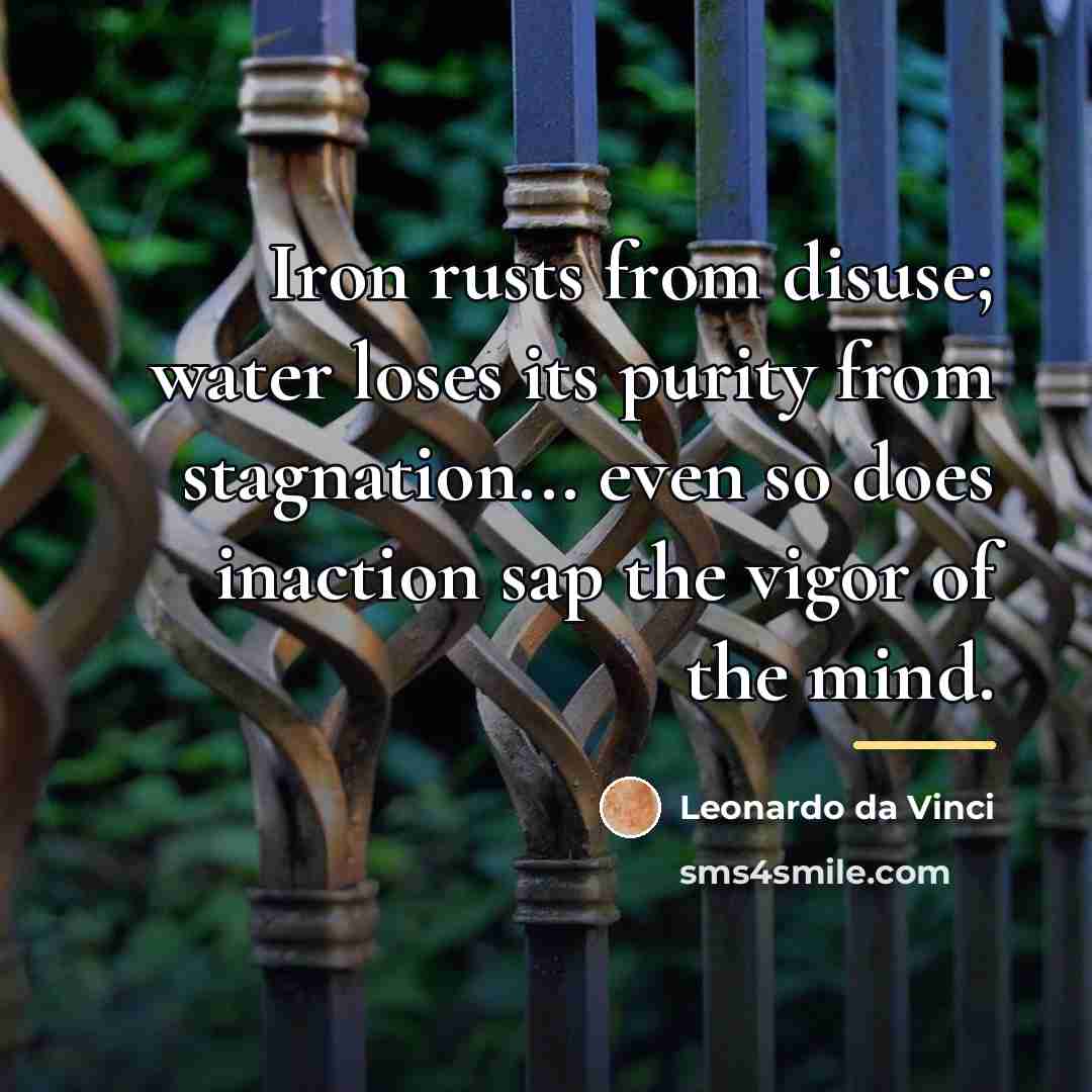 “Iron rusts from disuse; water loses its purity from stagnation...…” quote by Leonardo da Vinci