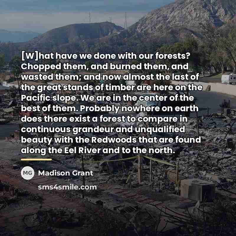 “[W]hat have we done with our forests? Chopped them, and…” quote by Madison Grant