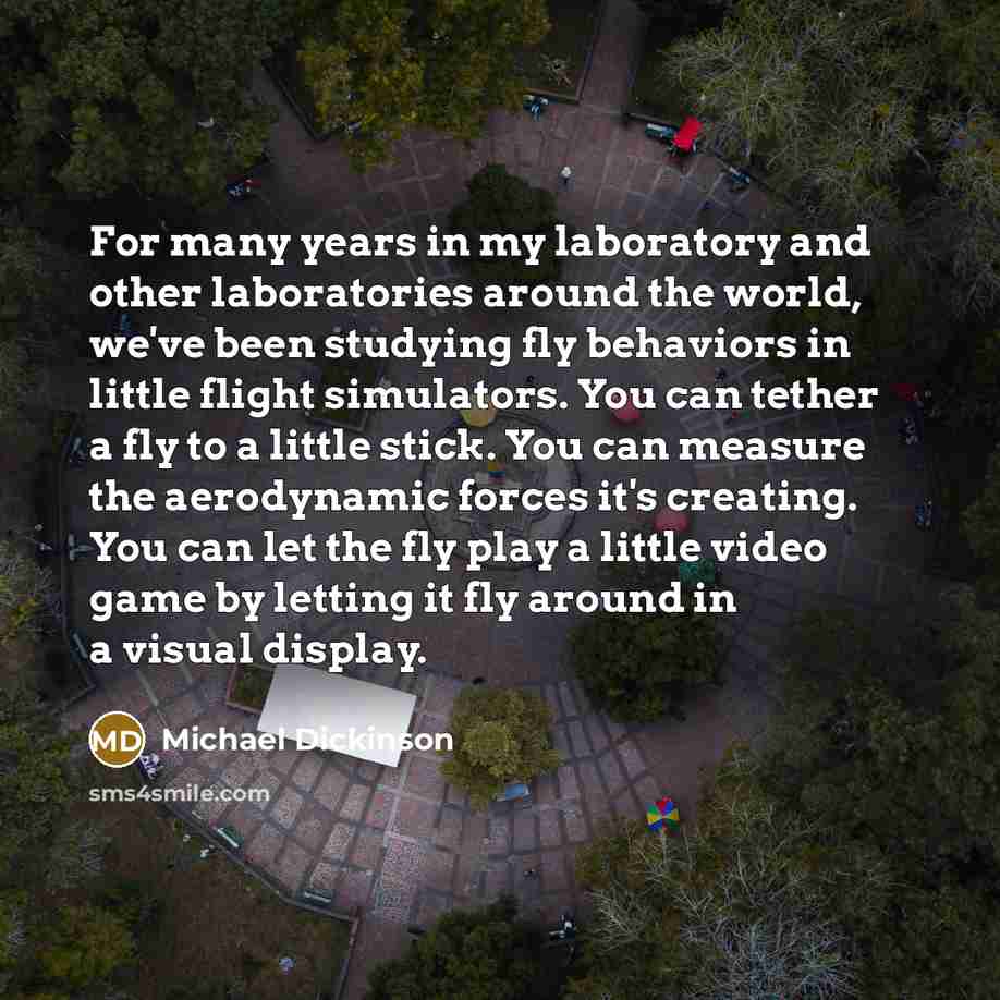 “For many years in my laboratory and other laboratories around…” quote by Michael Dickinson