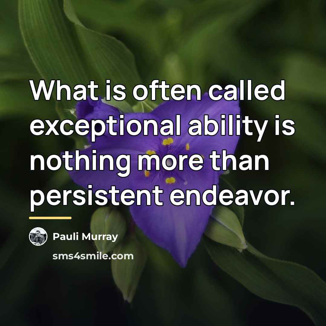 “What is often called exceptional ability is nothing more than…” quote by Pauli Murray