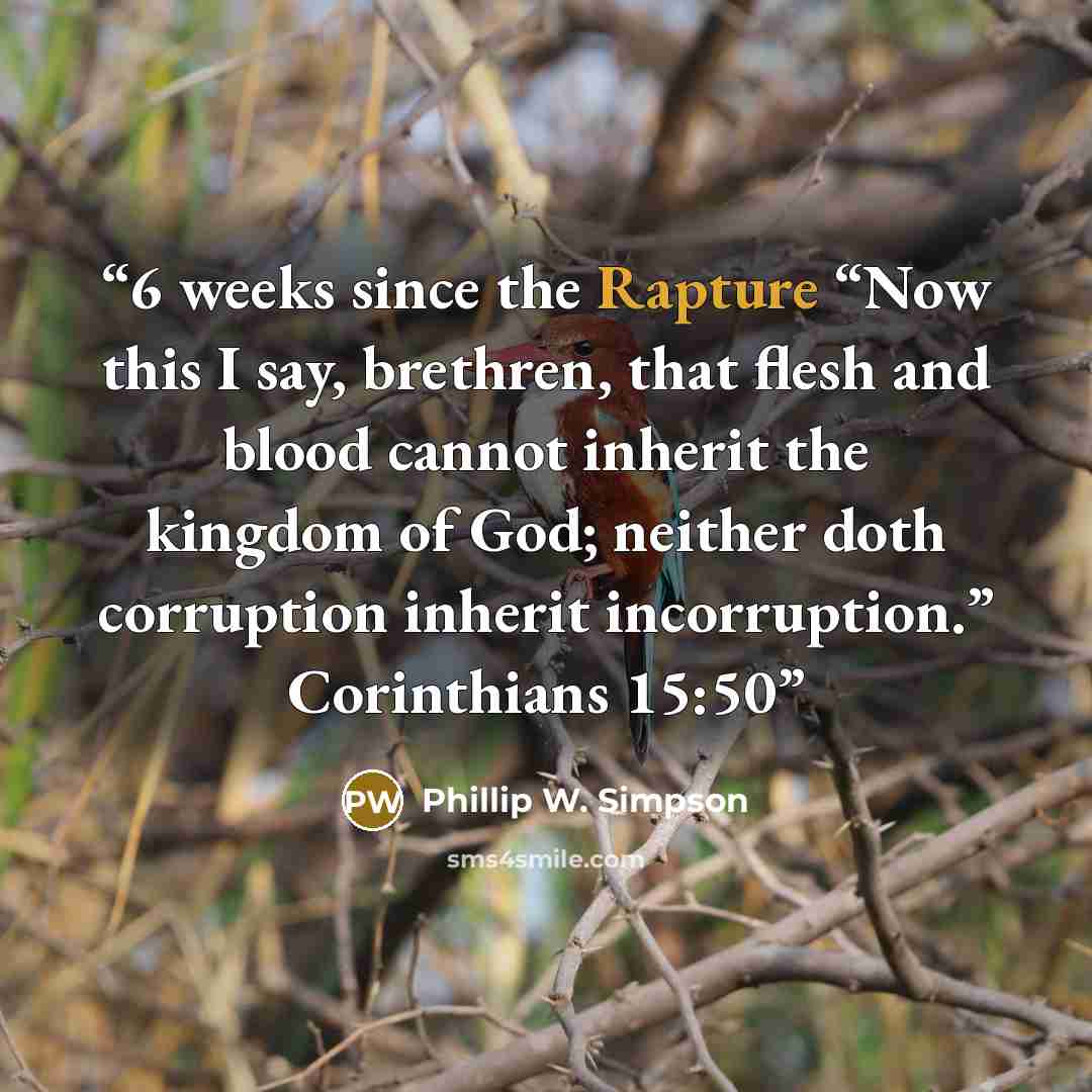 “6 weeks since the Rapture “Now this I say, brethren, that flesh and blood cannot inherit the kingdom of God; neither doth corruption inherit incorruption.” Corinthians 15:50” quote by Phillip W. Simpson