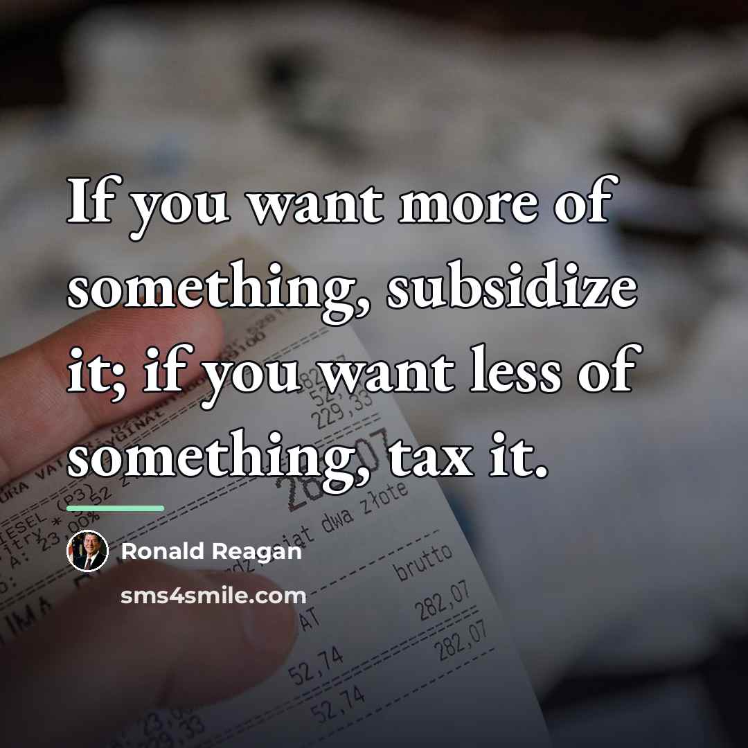 “If you want more of something, subsidize it; if you…” quote by Ronald Reagan