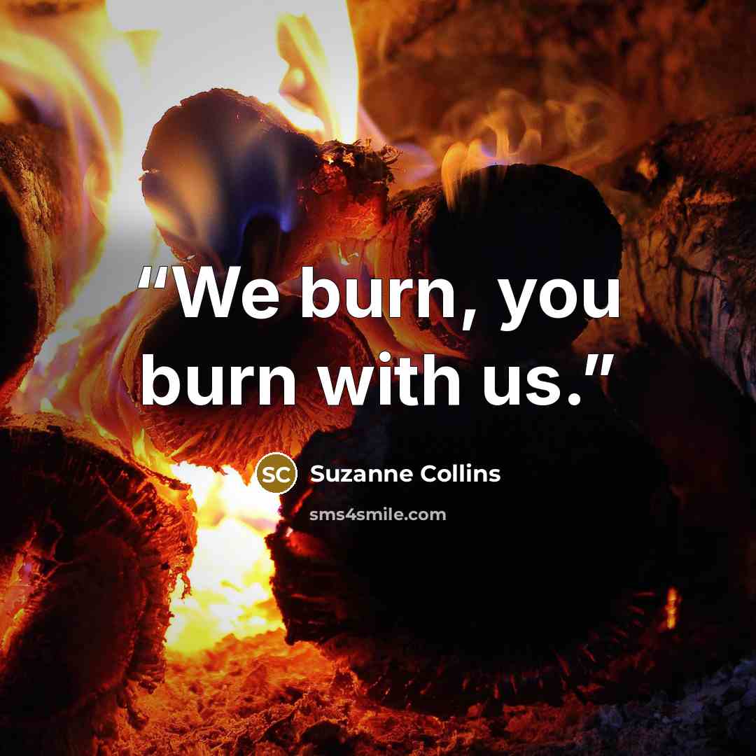 “We burn, you burn with us.” quote by Suzanne Collins