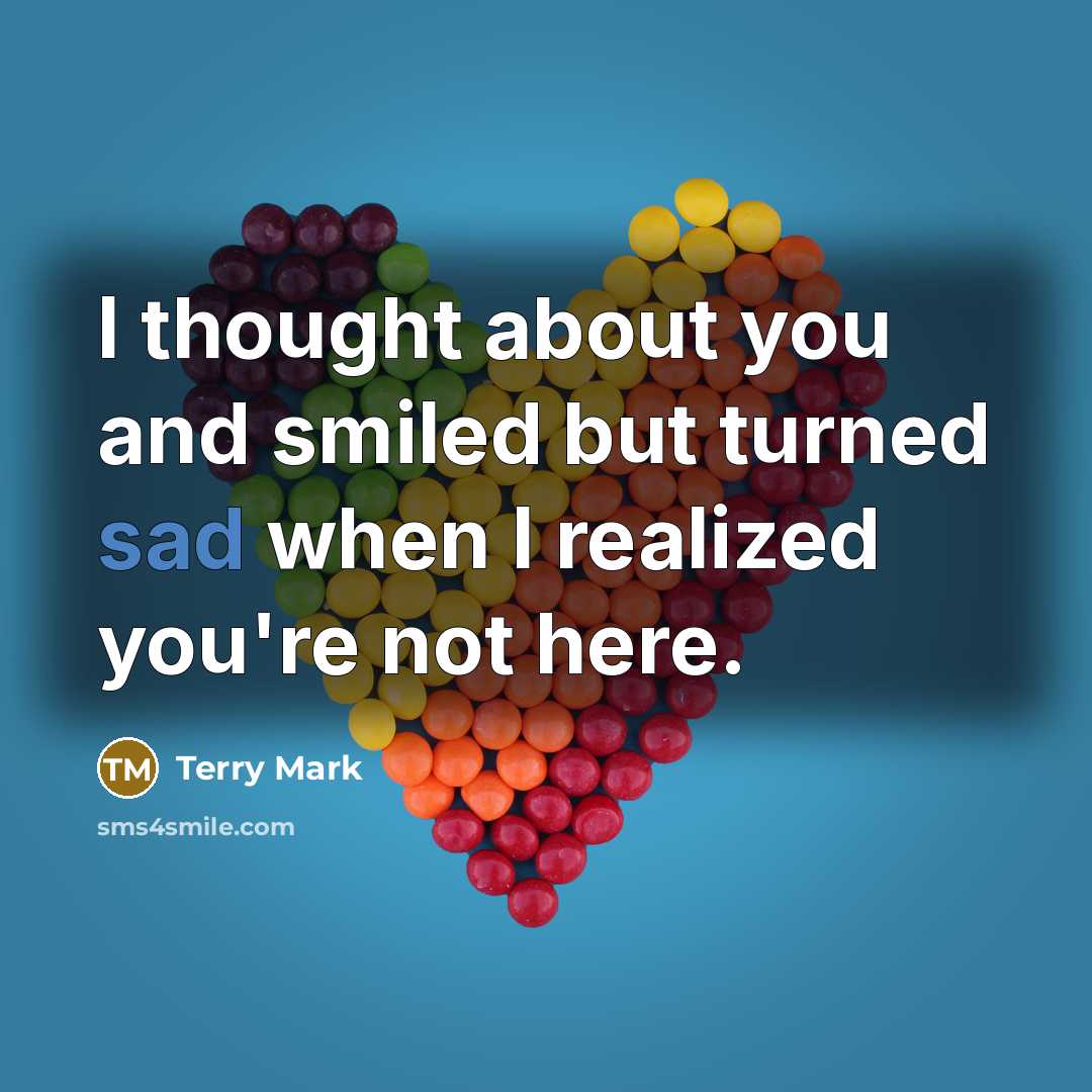 “I thought about you and smiled but turned sad when…” quote by Terry Mark