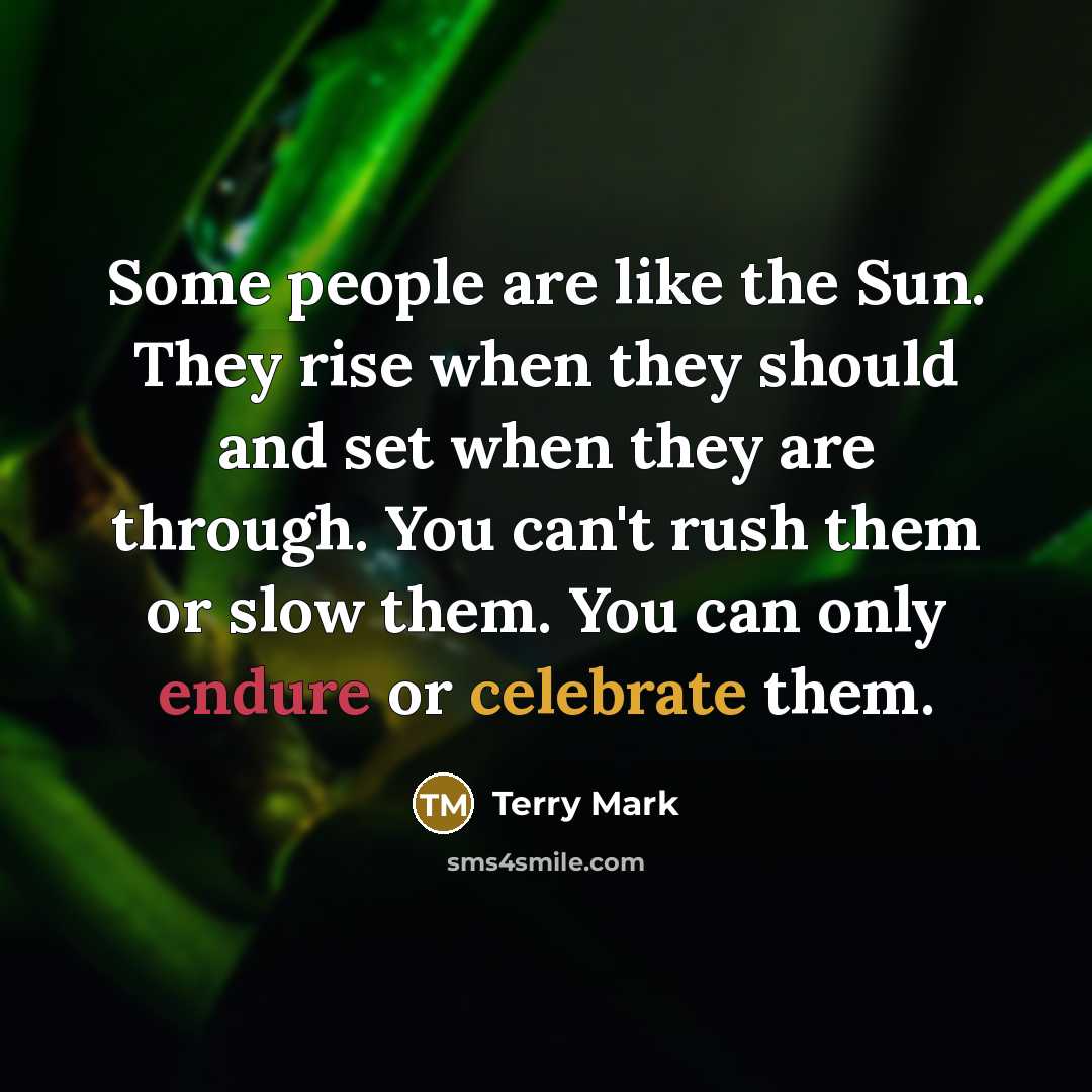 “Some people are like the Sun. They rise when they…” quote by Terry Mark