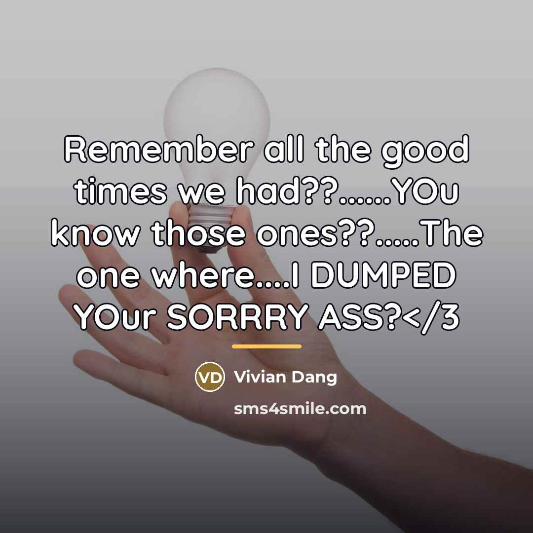 “Remember all the good times we had??......YOu know those ones??.....The…” quote by Vivian Dang