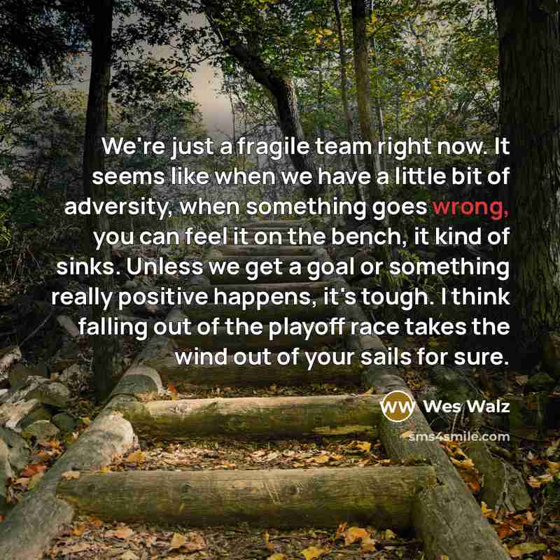 “We're just a fragile team right now. It seems like…” quote by Wes Walz