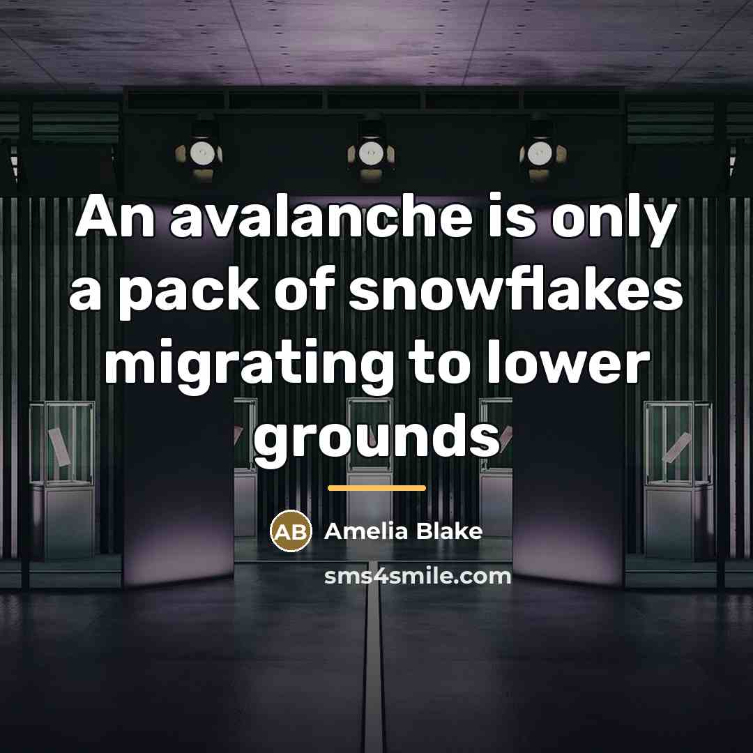 “An avalanche is only a pack of snowflakes migrating to…” quote by Amelia Blake