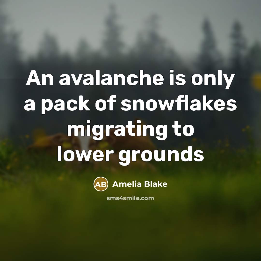 “An avalanche is only a pack of snowflakes migrating to lower grounds” quote by Amelia Blake