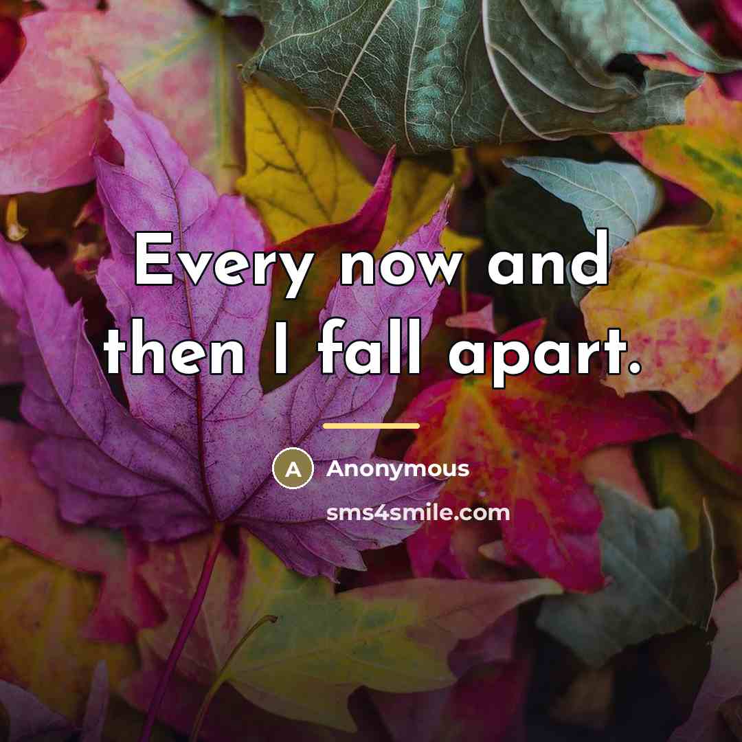 “Every now and then I fall apart.…” quote by Anonymous