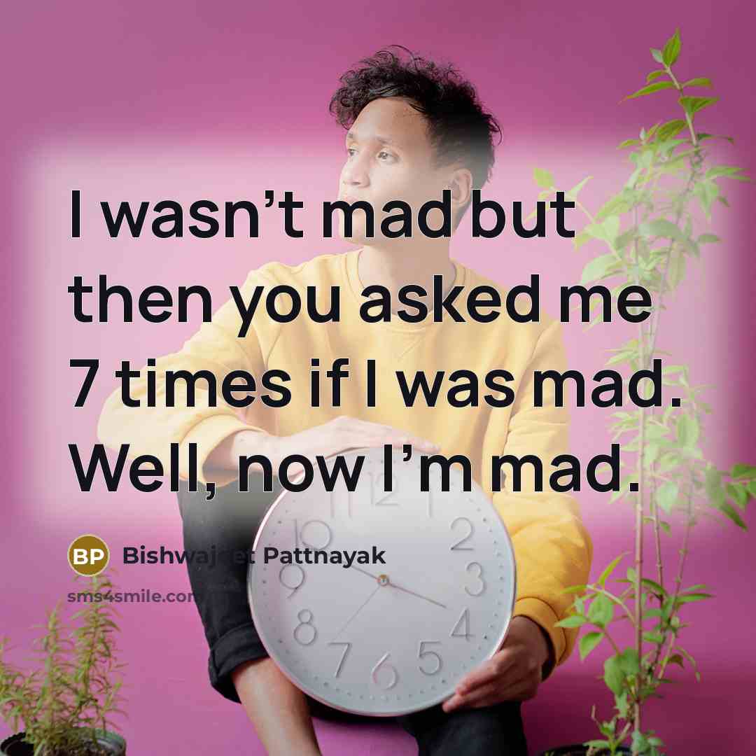“I wasn't mad but then you asked me 7 times…” quote by Bishwajeet Pattnayak