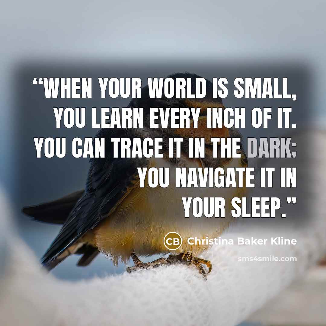 “WHEN YOUR WORLD is small, you learn every inch of it. You can trace it in the dark; you navigate it in your sleep.” quote by Christina Baker Kline