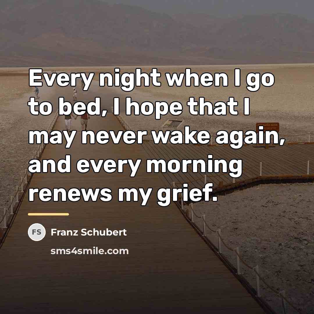 “Every night when I go to bed, I hope that…” quote by Franz Schubert