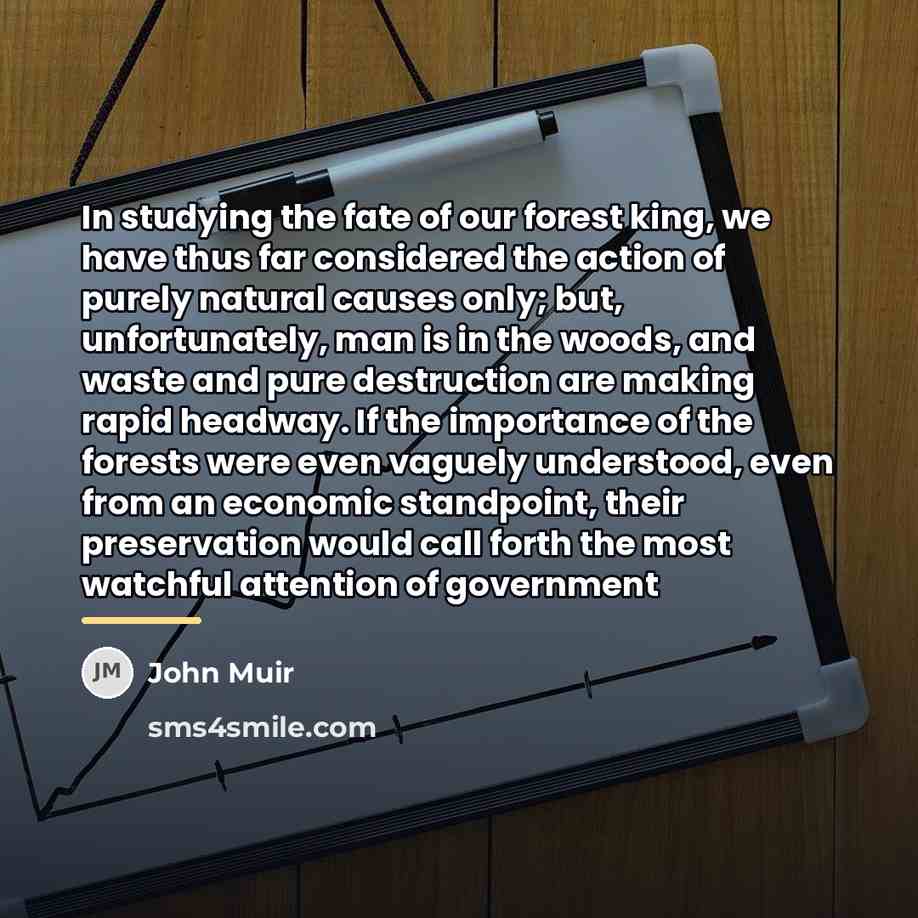 “In studying the fate of our forest king, we have…” quote by John Muir