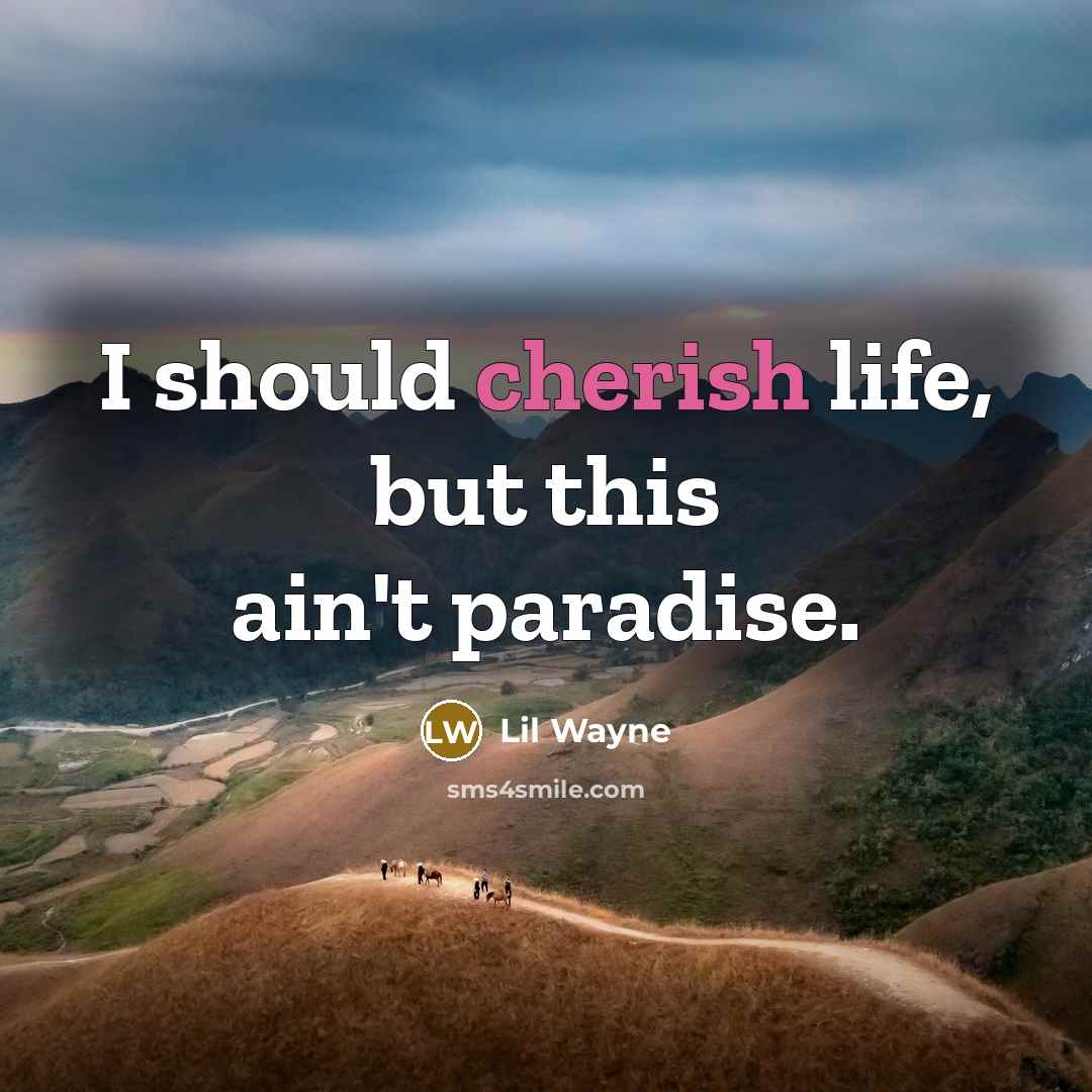 “I should cherish life, but this ain't paradise.…” quote by Lil Wayne