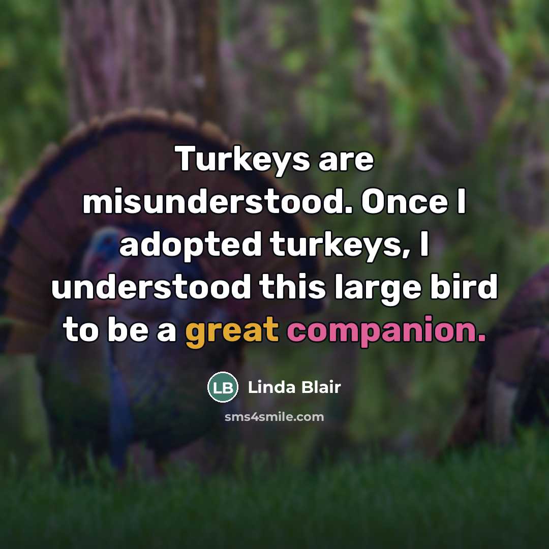 “Turkeys are misunderstood. Once I adopted turkeys, I understood this…” quote by Linda Blair