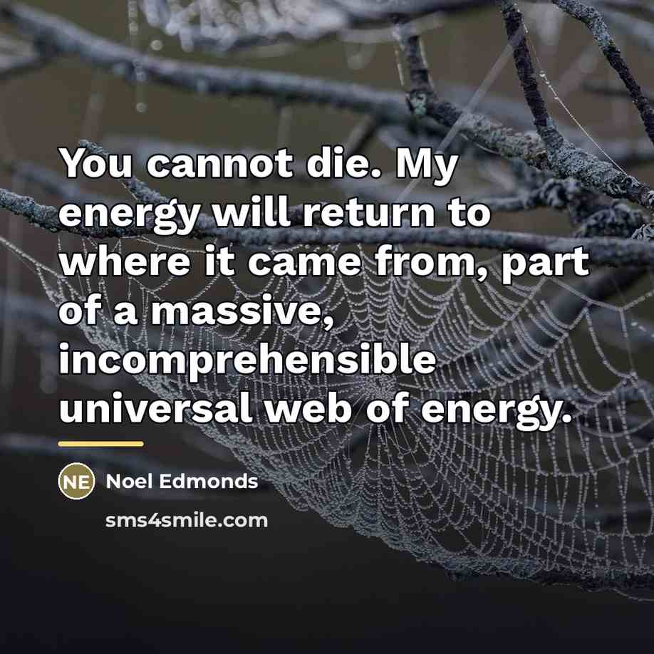 “You cannot die. My energy will return to where it…” quote by Noel Edmonds