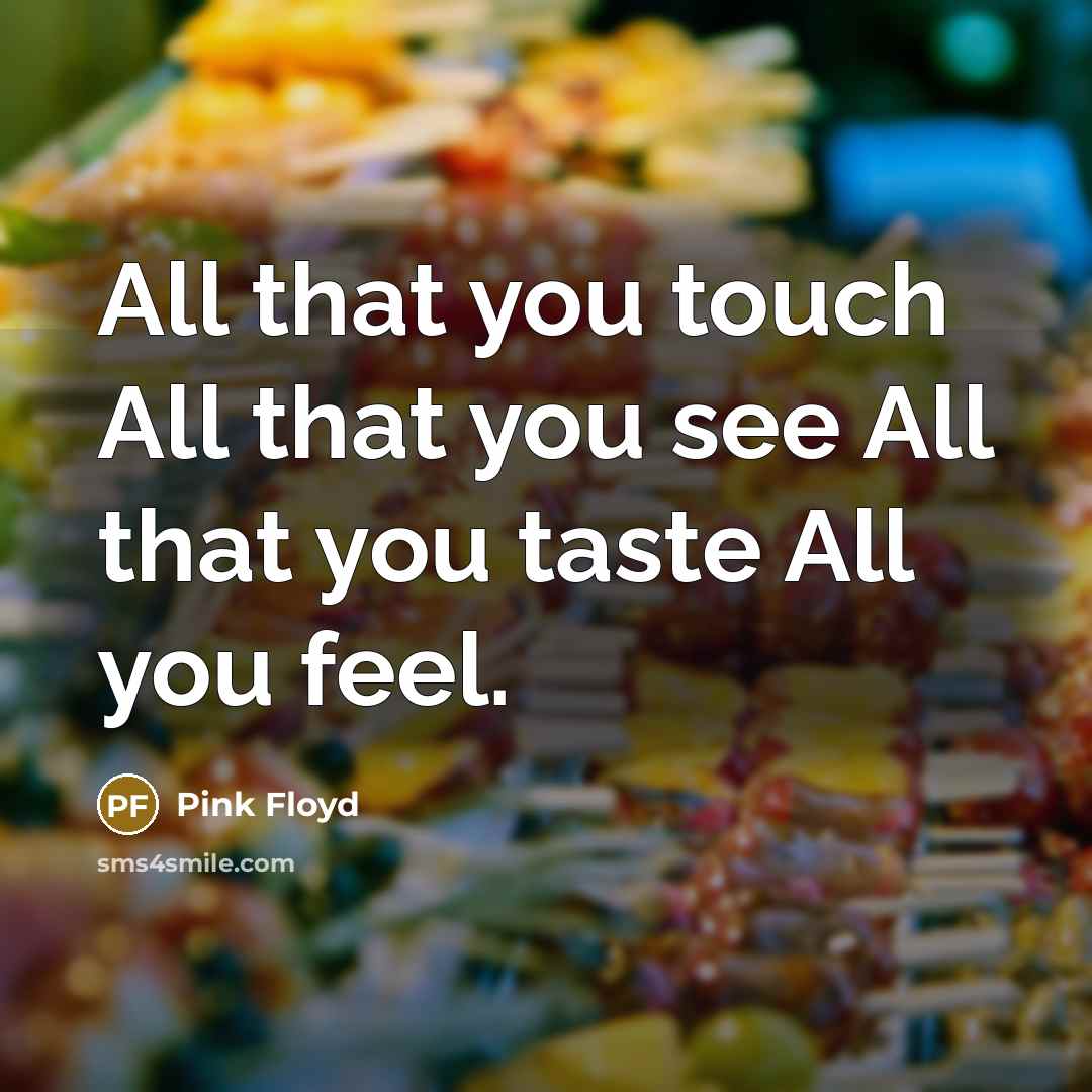 “All that you touch All that you see All that…” quote by Pink Floyd