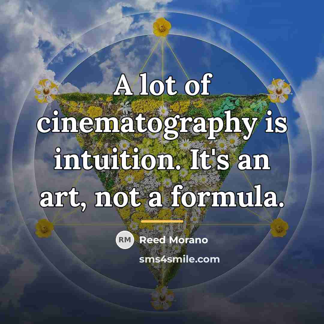 “A lot of cinematography is intuition. It's an art, not…” quote by Reed Morano