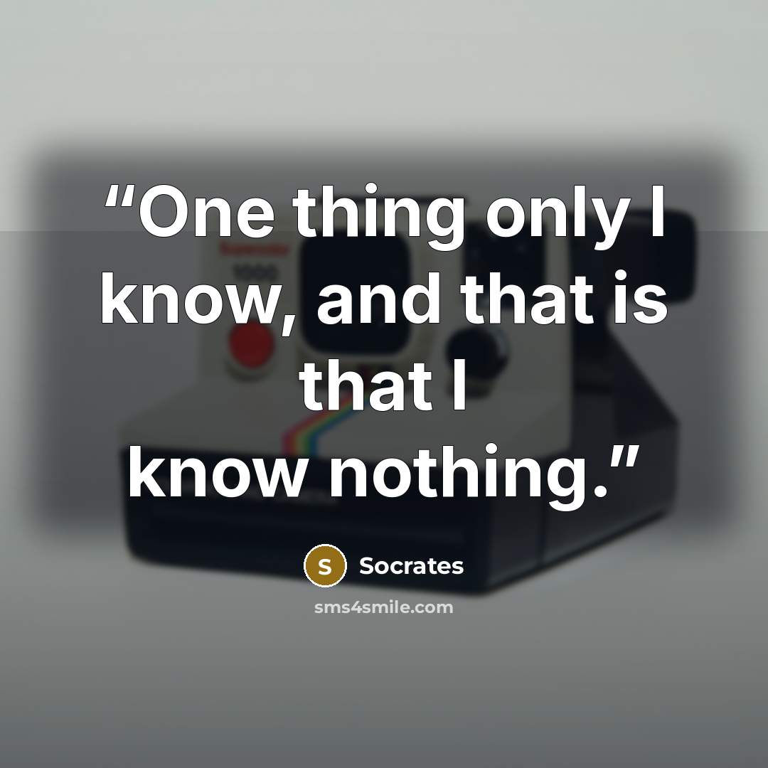“One thing only I know, and that is that I know nothing.” quote by Socrates