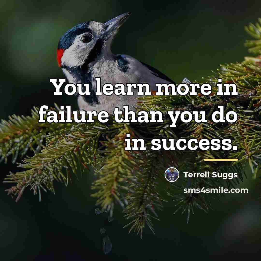 “You learn more in failure than you do in success.…” quote by Terrell Suggs