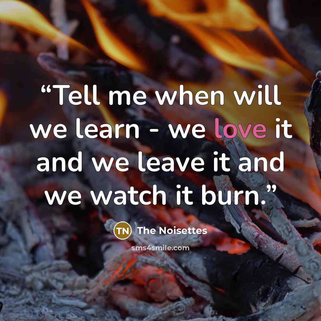 “Tell me when will we learn - we love it and we leave it and we watch it burn.” quote by The Noisettes