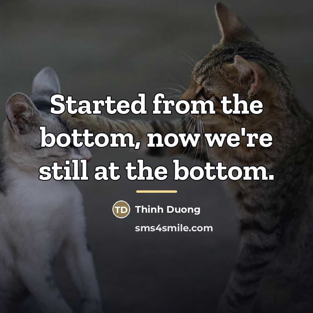“Started from the bottom, now we're still at the bottom.…” quote by Thinh Duong