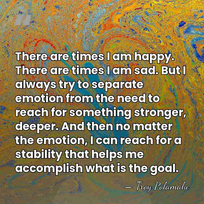There are times I am happy. There are times I am sad.&hellip; - Troy Polamalu