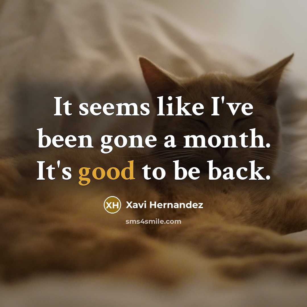 “It seems like I've been gone a month. It's good…” quote by Xavi Hernandez