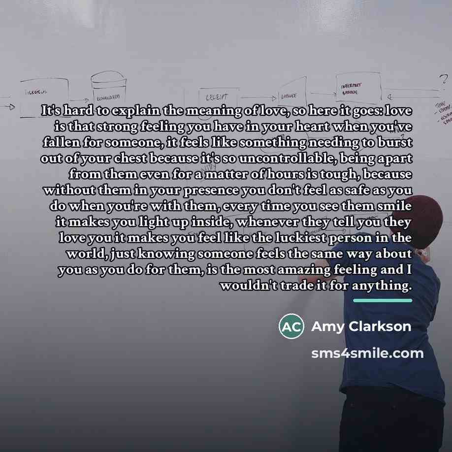 “It's hard to explain the meaning of love, so here…” quote by Amy Clarkson
