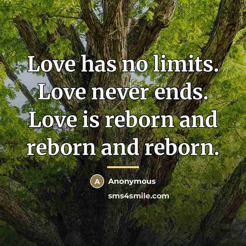“Love has no limits. Love never ends. Love is reborn…” quote by Anonymous